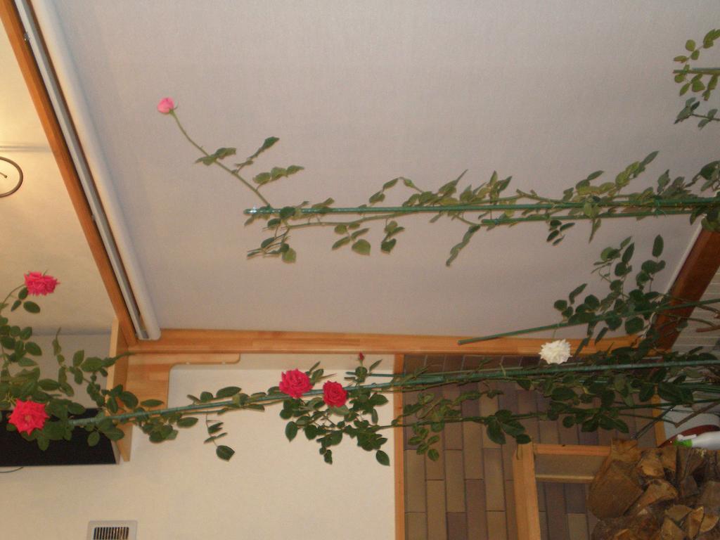 Nakashibetsu Pension Formen מראה חיצוני תמונה